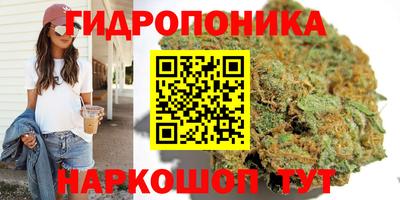 ешки Рязань