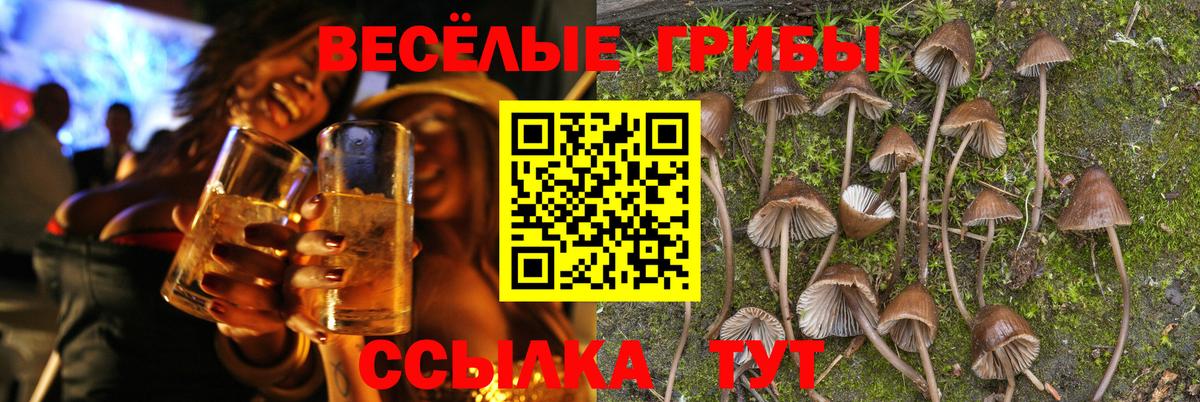 магазин  наркотиков  Вход с VPN  Пыть-Ях  Псилоцибиновые грибы Psilocybe 